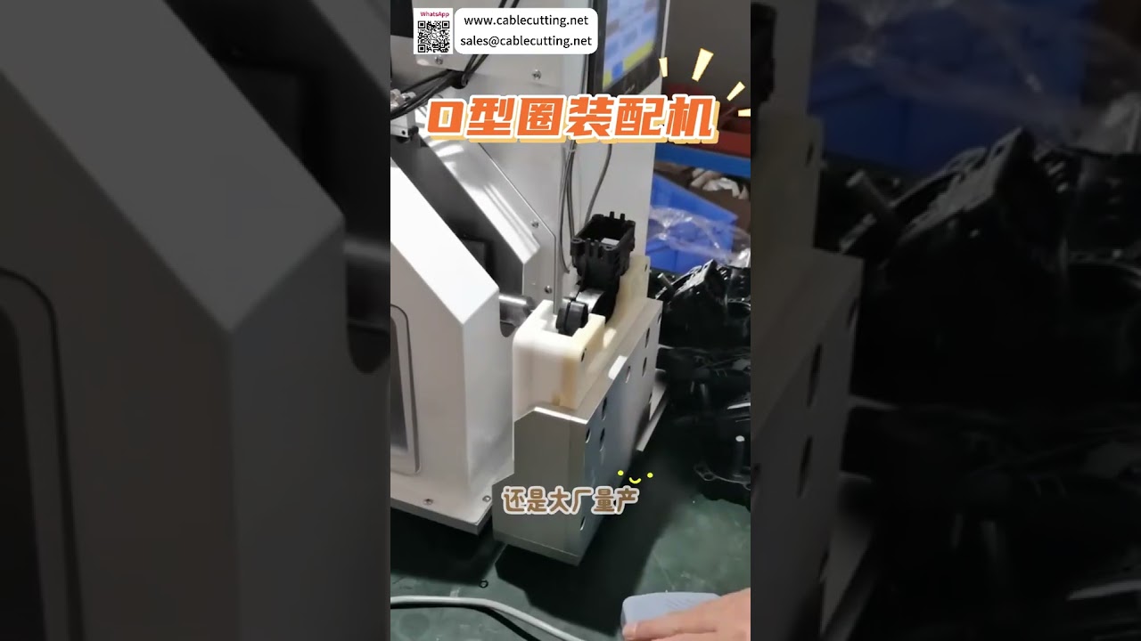 高品质O型圈自动组装机 | 定制密封圈制造设备