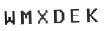 Verification Code Image